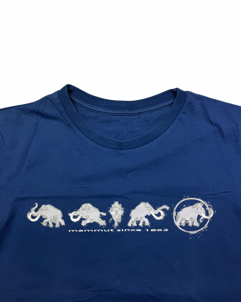 Mammut - S