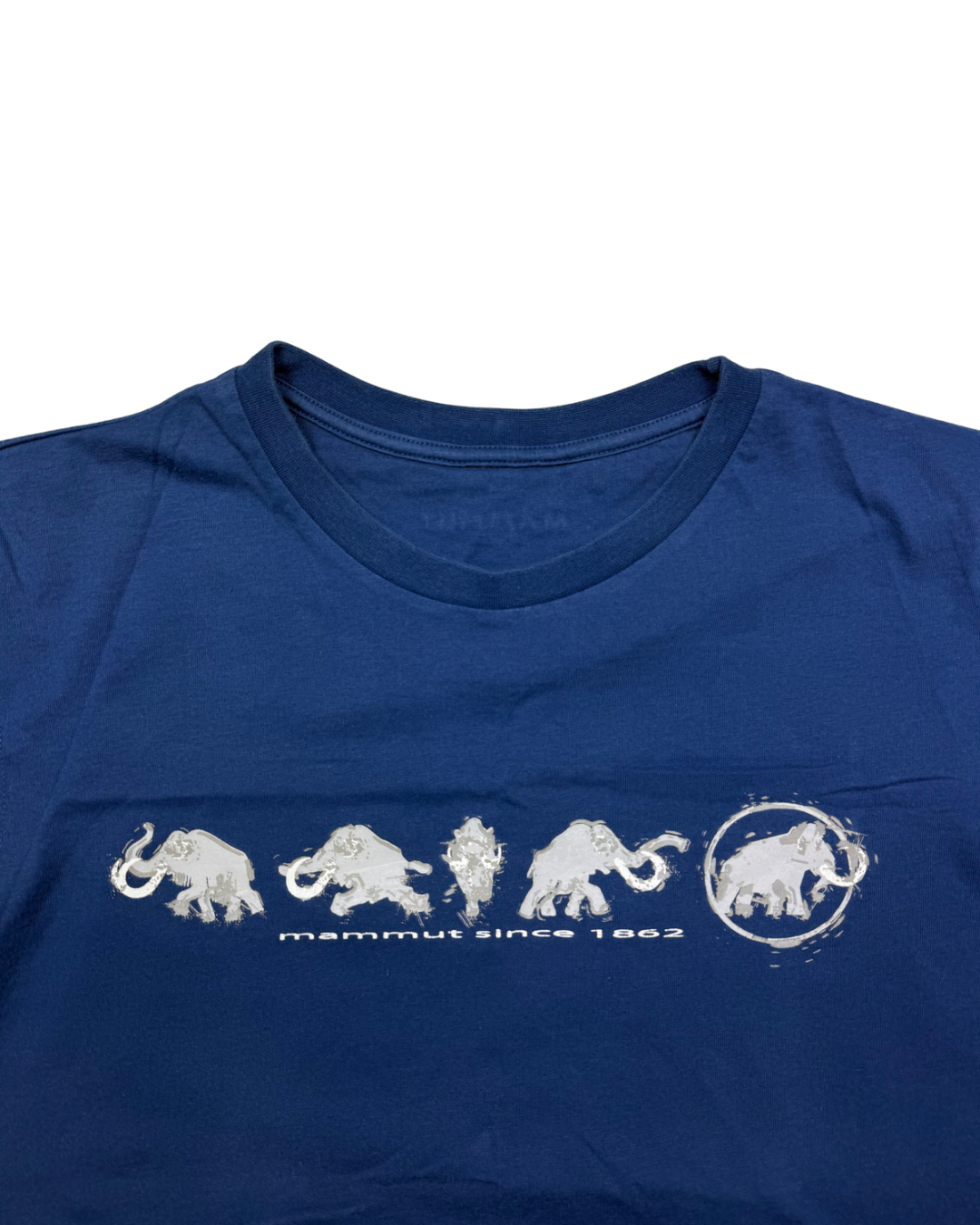 Mammut - S