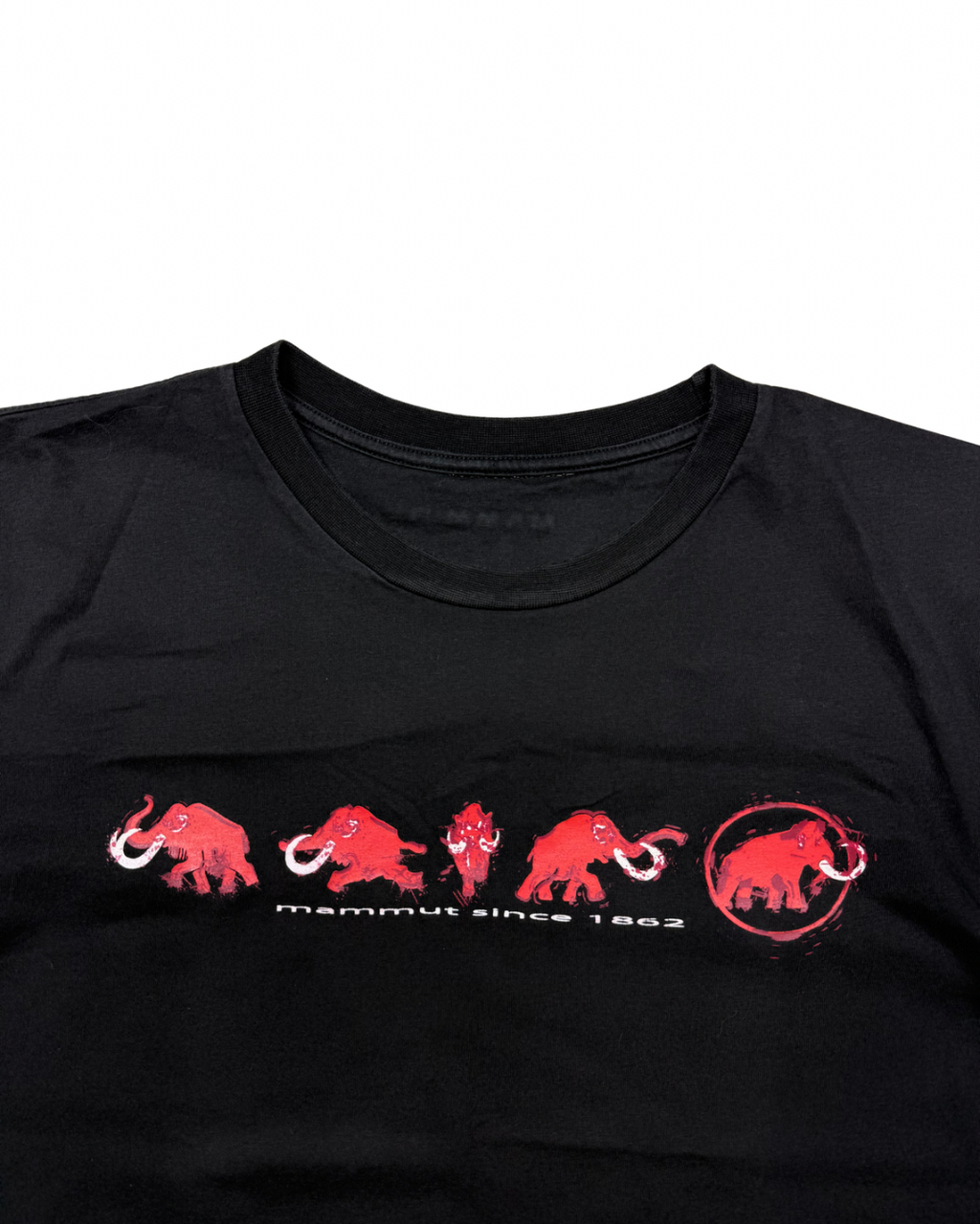 Mammut - S