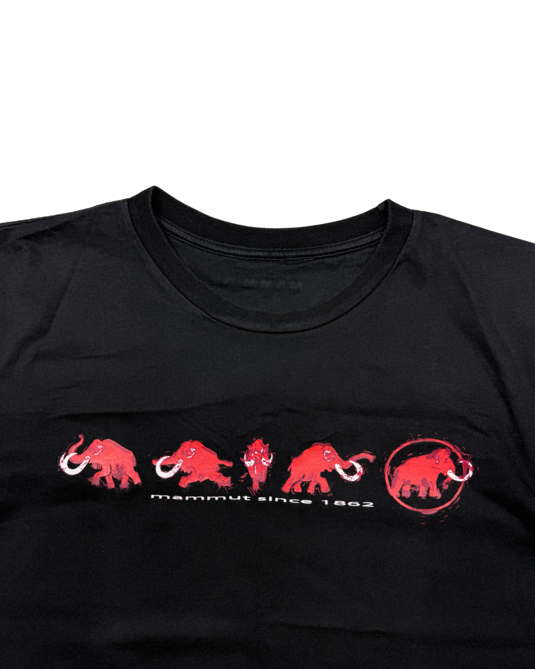 Mammut - S